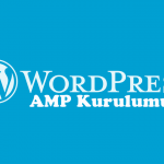Wordpresss AMP Kurulumu
